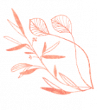 demo-attachment-112-flower-title-2